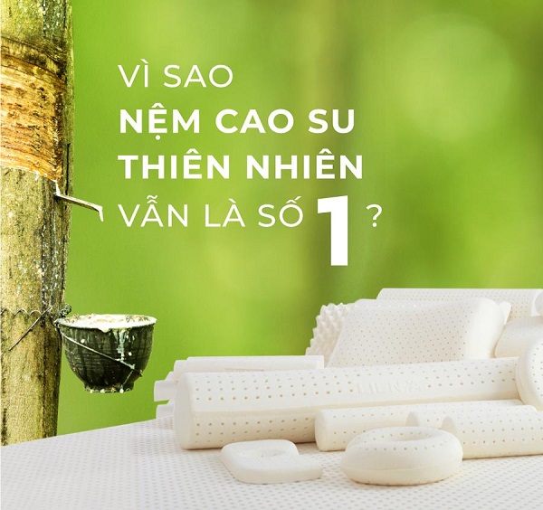 nệm cao su thiên nhiên luôn được đánh giá cao về chất lượng