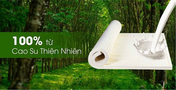 nệm cao su thiên nhiên