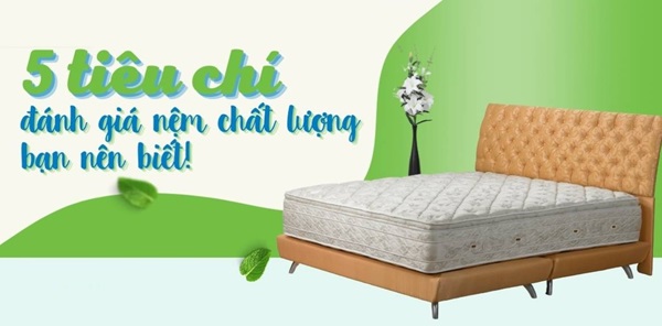 5 Tiêu chí đánh giá nên chọn nệm cao su loại nào tốt để nằm