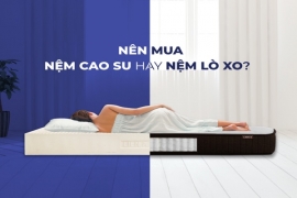 Nên mua nệm lò xo hay nệm cao su? Những tiêu chí so sánh