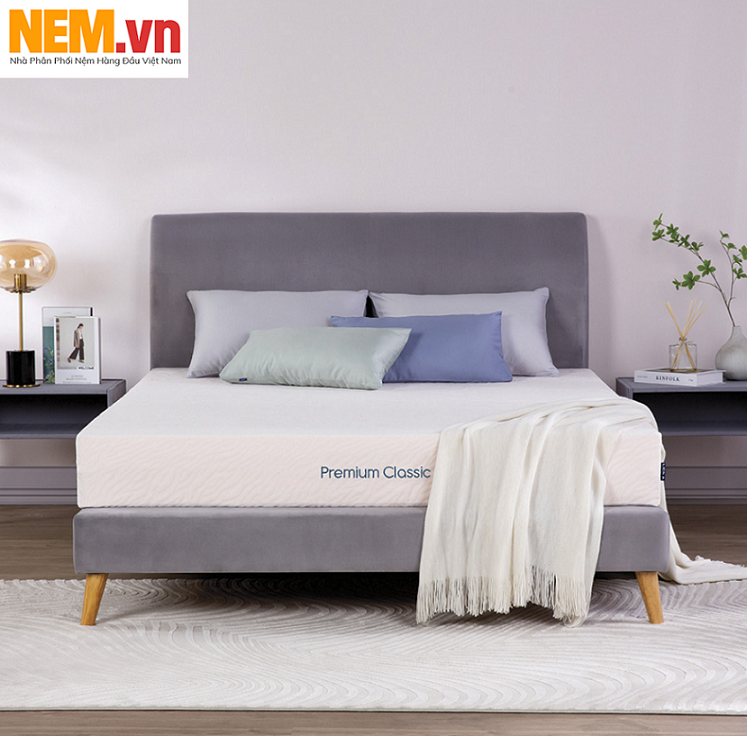 NỆM CAO SU THIÊN NHIÊN LIÊN Á CLASSIC PREMIUM - KHUYẾN MÃI GIẢM GIÁ LỚN