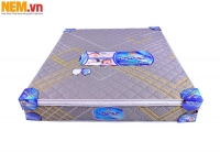 NỆM LÒ XO TOPAZ 3 VIỀN VẢI GẤM | ĐẶT HÀNG ONLINE GIẢM NGAY 46%