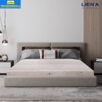 NỆM CAO SU LIÊN Á - 5ZONE PREMIUM | NÂNG ĐỠ TỐI ƯU 5 VÙNG CƠ THỂ